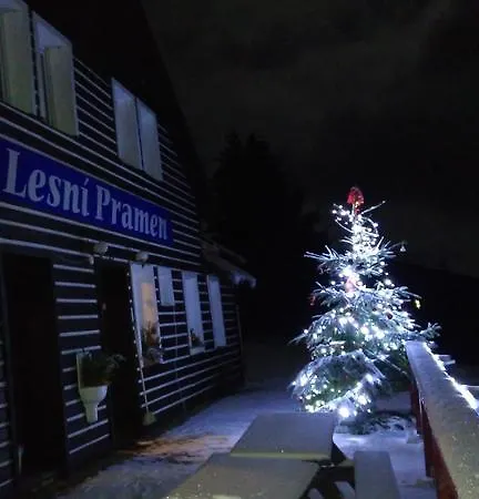 Lesni Pramen 3*