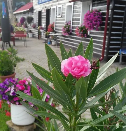 Guest house Lesni Pramen Pec pod Snezkou