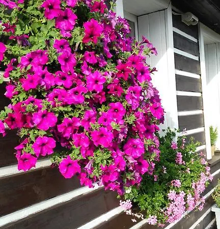 Lesni Pramen Guest house