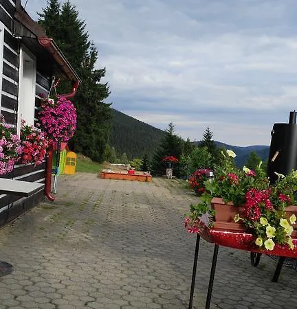 Lesni Pramen Guest house