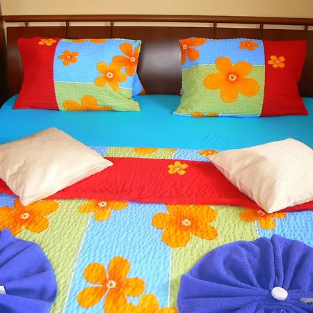 Guest house Lesni Pramen Pec pod Snezkou